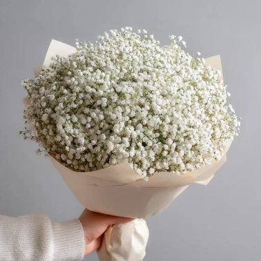 Монобукет из белой гипсофилы