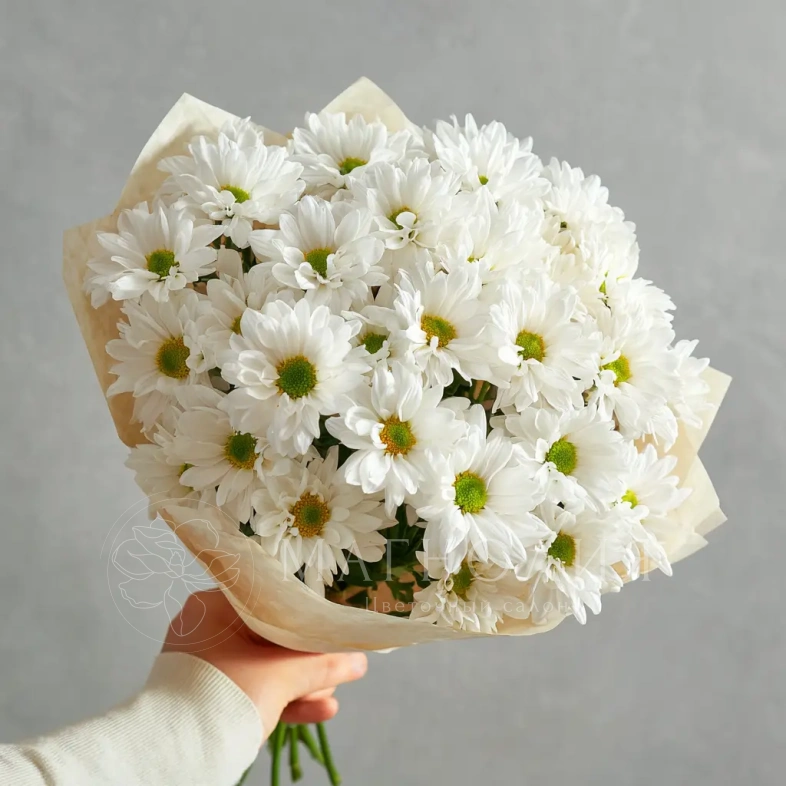 Монобукет из белых хризантем