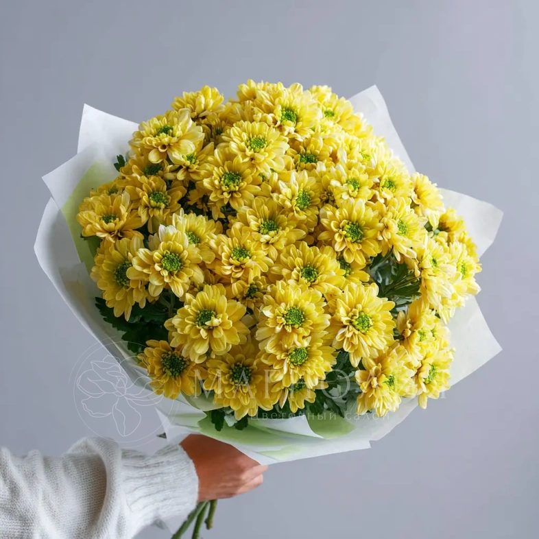 Монобукет из хризантем &laquo;Солнечное касание&raquo;