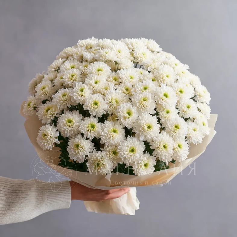Монобукет из хризантем &laquo;Белое облако&raquo;