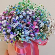 Радужная нежность 0