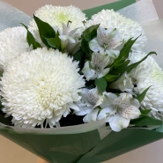 Снежная чистота 0