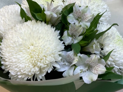 Снежная чистота