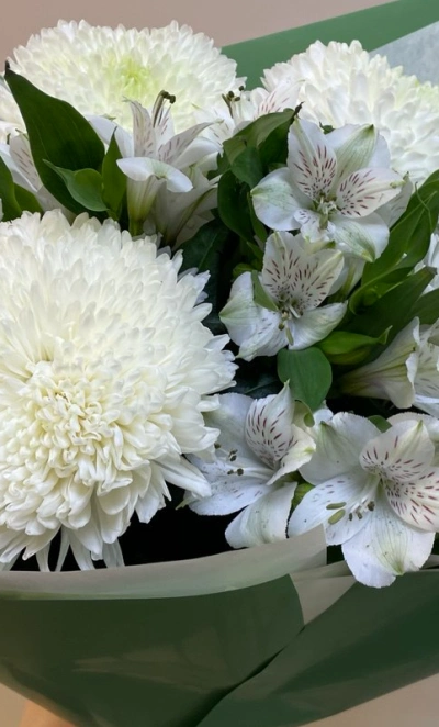 Снежная чистота