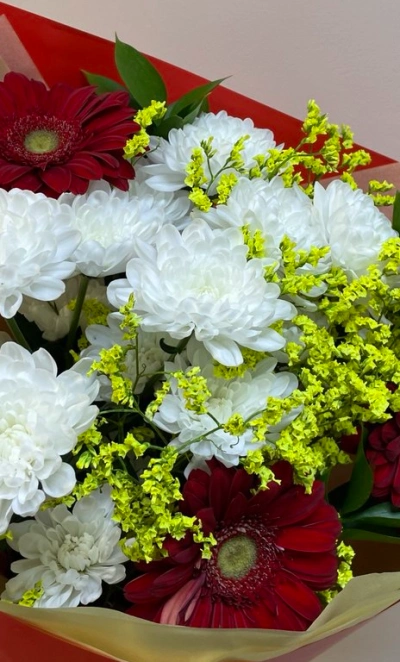 Зимний поцелуй