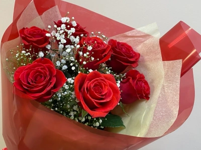Красные алые розы