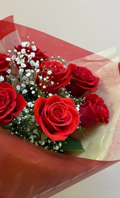 Красные алые розы