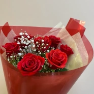 Красные алые розы 1