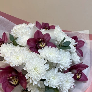 Снежные орхидеи