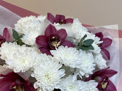 Снежные орхидеи