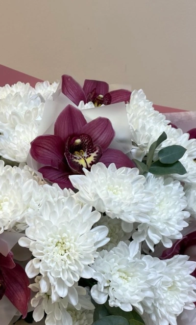 Снежные орхидеи